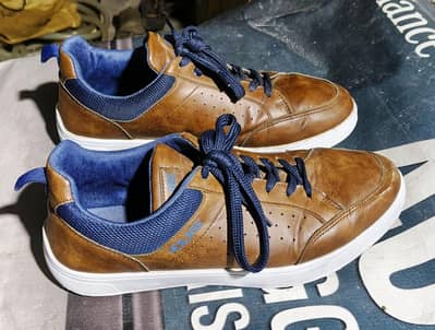 Old Shoes and jogger Paint