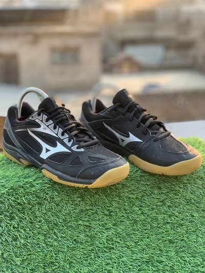 Mizuno indoor badmintion/Table Tennis shoes.