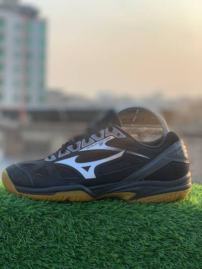 Mixuno badminton/table tennis shoes.