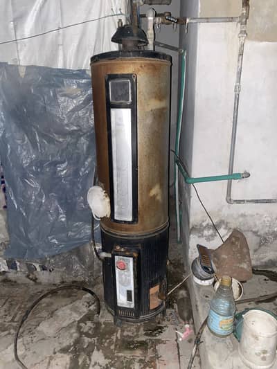 Electric and gas geyser