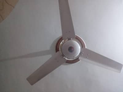 A royal ceiling fan for sale
