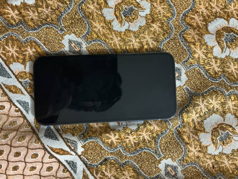 iPhone 13 Pro Max 1