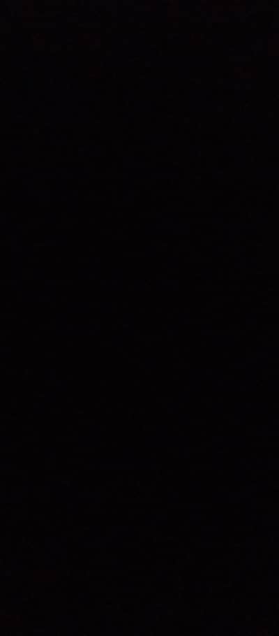 home tutor/online tutor