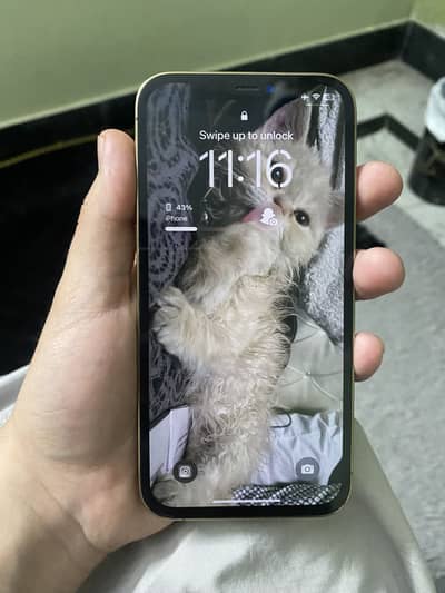 Iphone 12 pro non pta