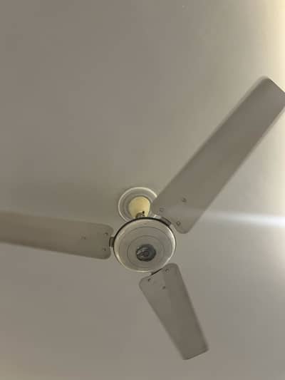 PAk or royal fan 12 working condition