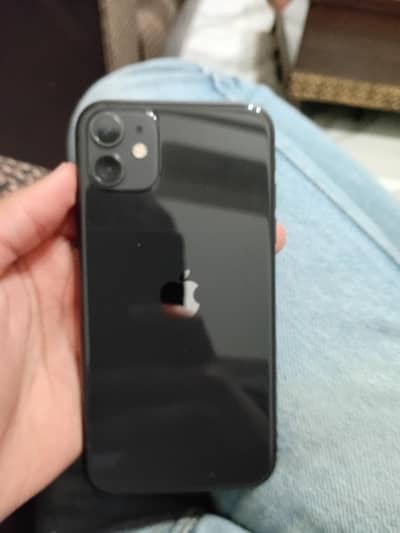 only whatapp number 03106736240