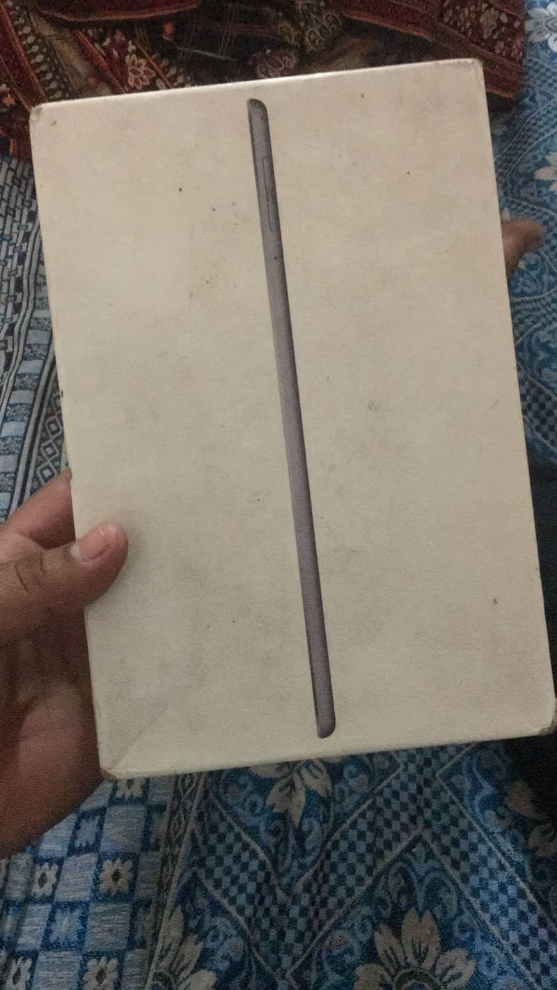 Ipad mini5 0