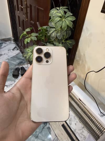 IPHONE 13 PRO PTA APPROVED