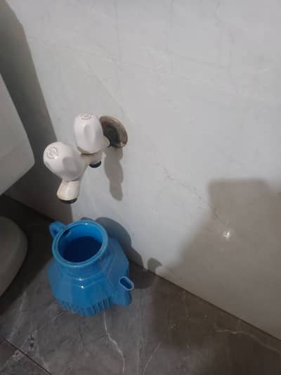 5 marla developed plot in Block E1 Citi Housing Sargodha road Faisalabad