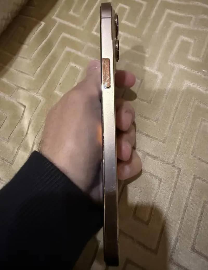 13 pro max (HK Version) 0