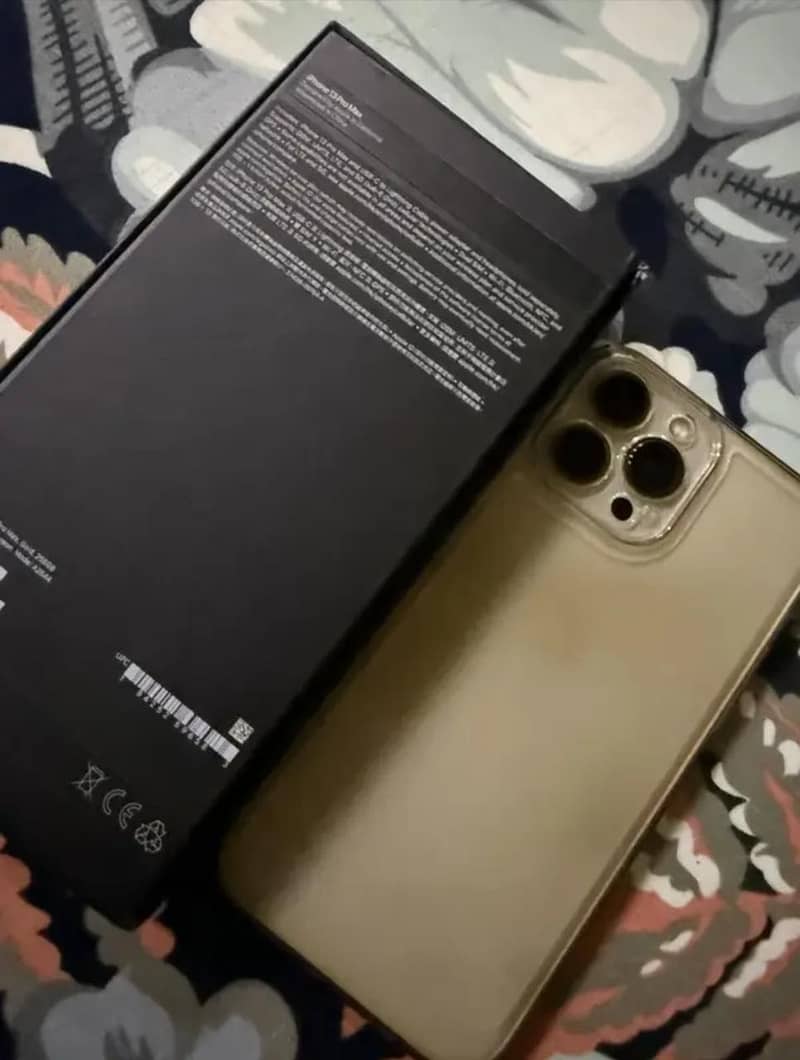 13 pro max (HK Version) 1