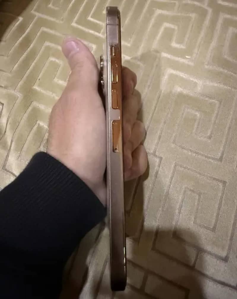 13 pro max (HK Version) 5