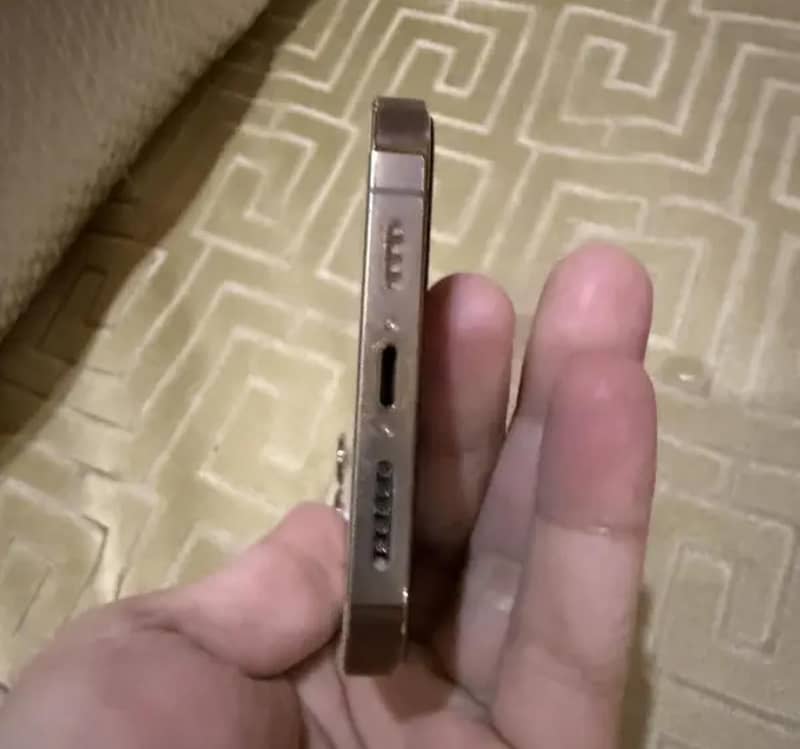 13 pro max (HK Version) 6