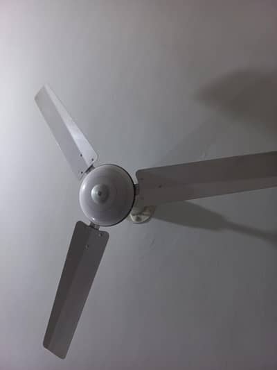 ceiling fan