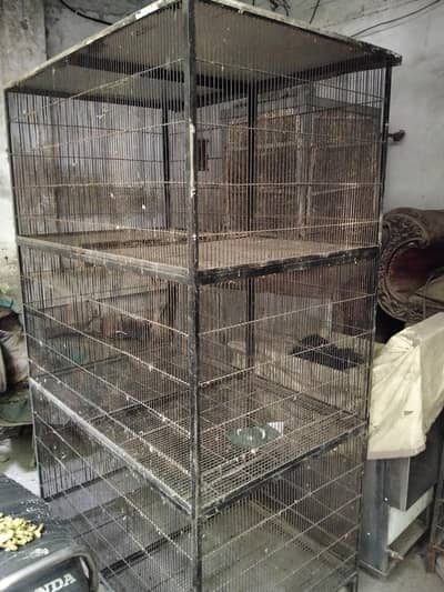 3 Cages 6-8 Portions Full Angle