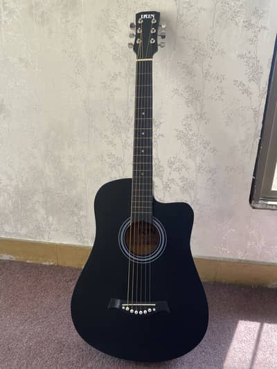 Guitar (IRIN) beignner guitar