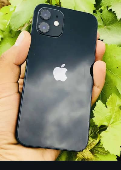 IPHONE 12 FACTORY UNLOCKED