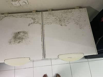 Double door Dfreezer