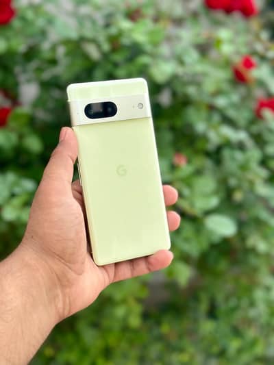 Google pixel 7 Official Pta