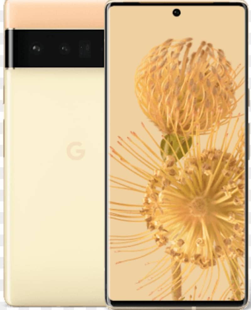 Google pixel 6 pro 0