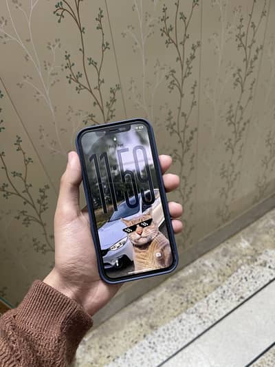 Iphone 12 Jv Whatsapp Number 03194718923