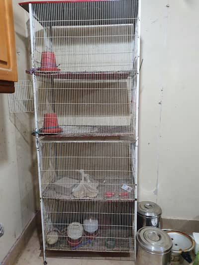 Urgent Sale Karna hay pinjra