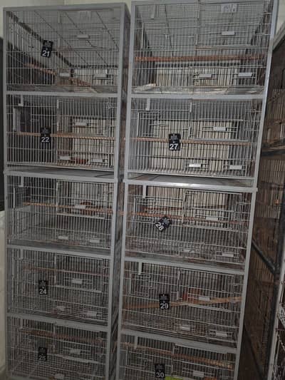 Cages Lovebird and Exotic Birds