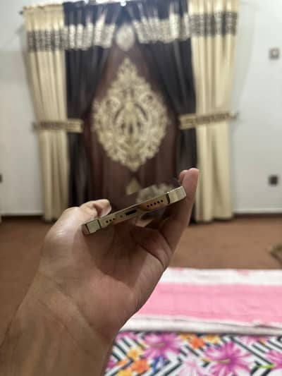 Iphone 12 pro pta approved