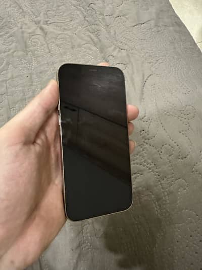 iPhone 12 Pro non pta waterpack