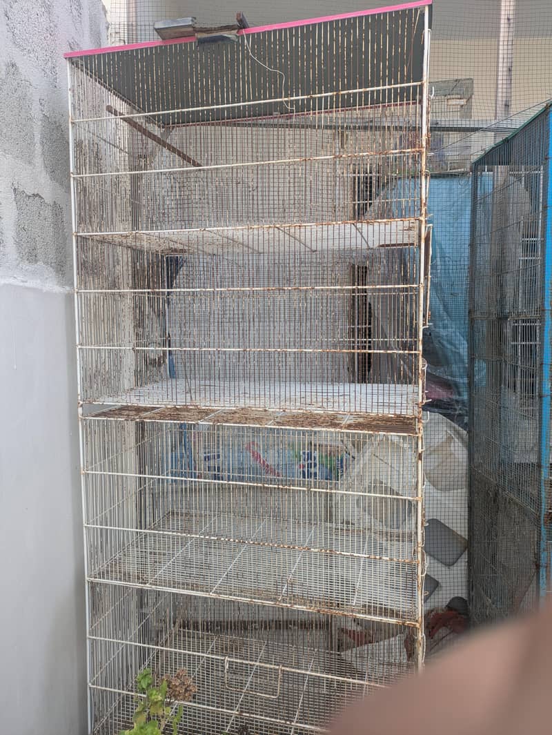 cages 1