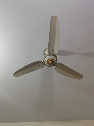 Fan used