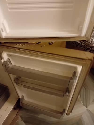 desire pel medium sized