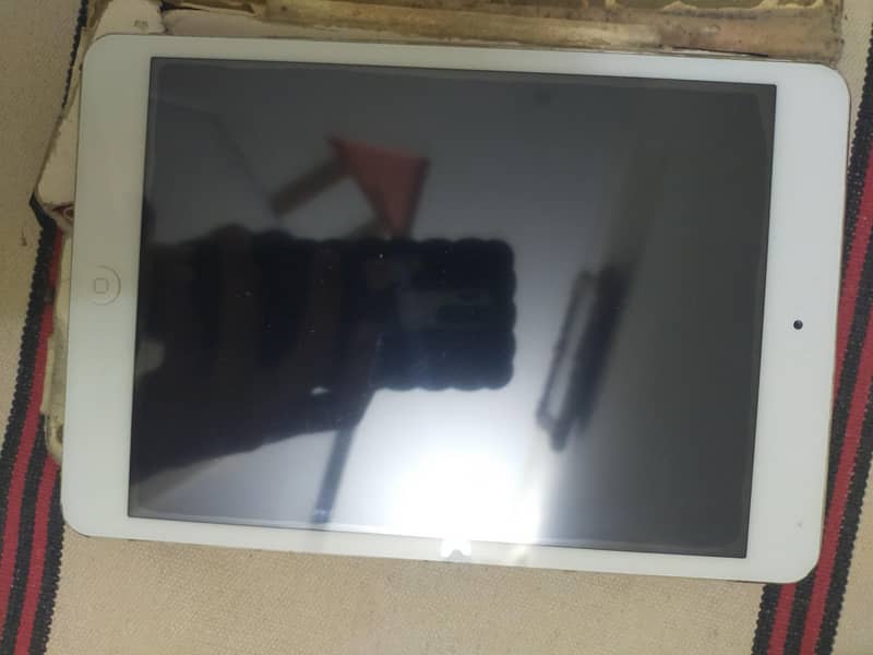 ipad mini 0