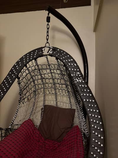 Indoor & Outdoor Swing