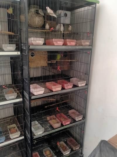 8 Porshan Cage 03127093372