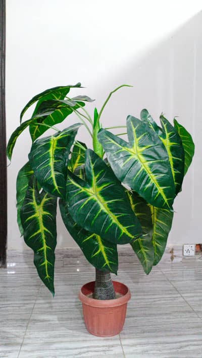 Artificial Plant