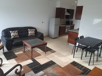 Luxurious 1-Bedroom Fully Furnished Apartment   One Constitution Avenue