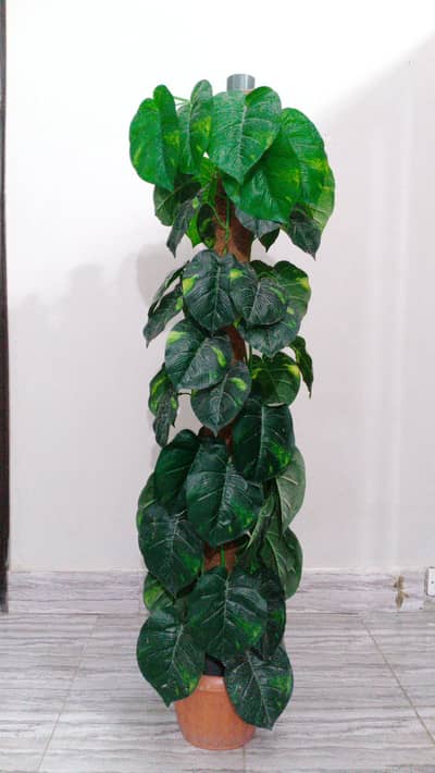 Artificial Plant