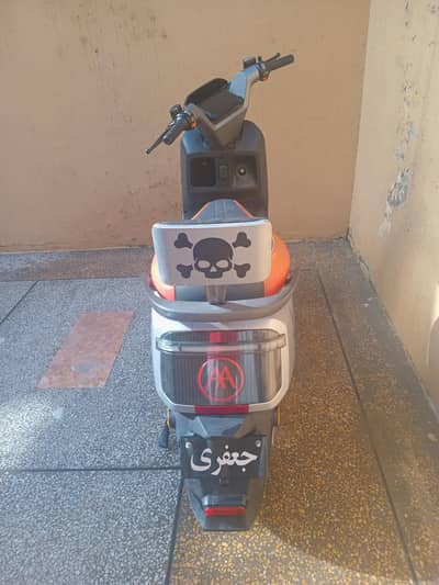 bumper to bumper genvenune