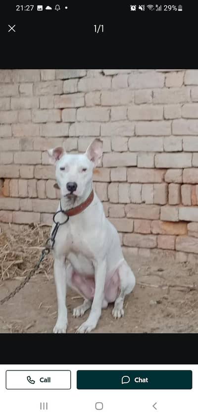 exchange enoder breed