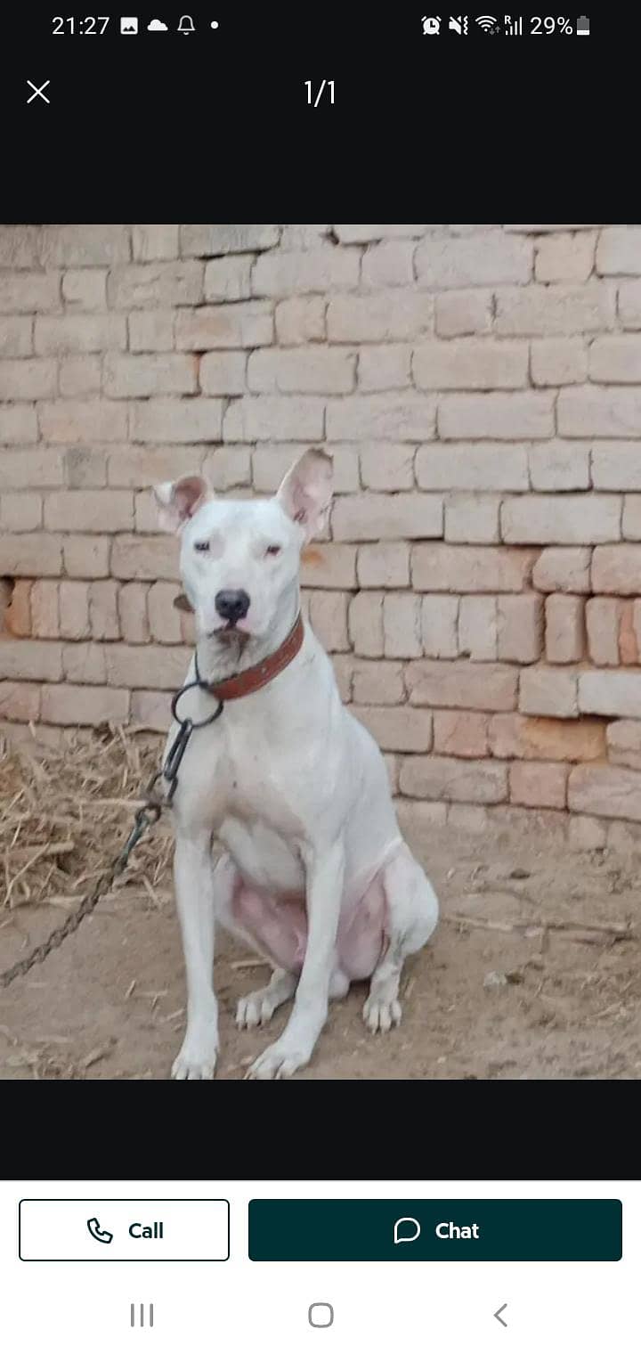 exchange enoder breed 0