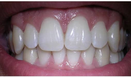 Dental surgeon male/ female