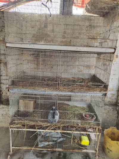 Iron Cages for Sale
