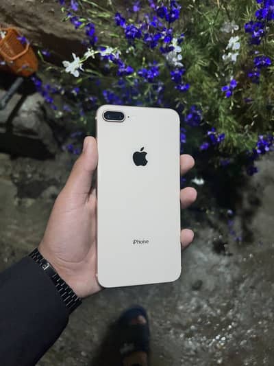 Iphone 7plus official pta