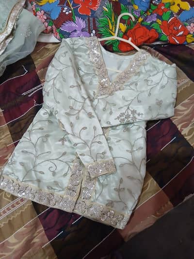 elegant sea green embroiderd dress