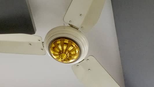 super Dawlance fan. . .