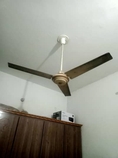 ceiling fan for sale
