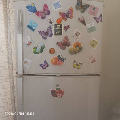 fridge is up for sale