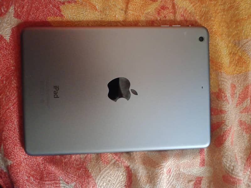 ipad mini 2 0