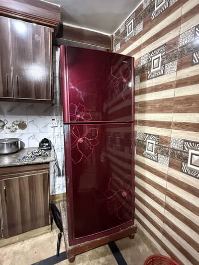 Orient Refrigerator Jumbo